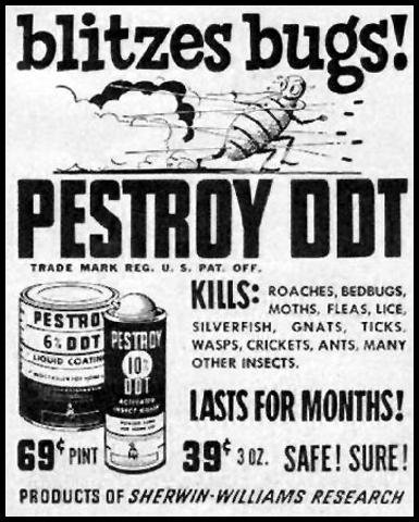 blitz bugs