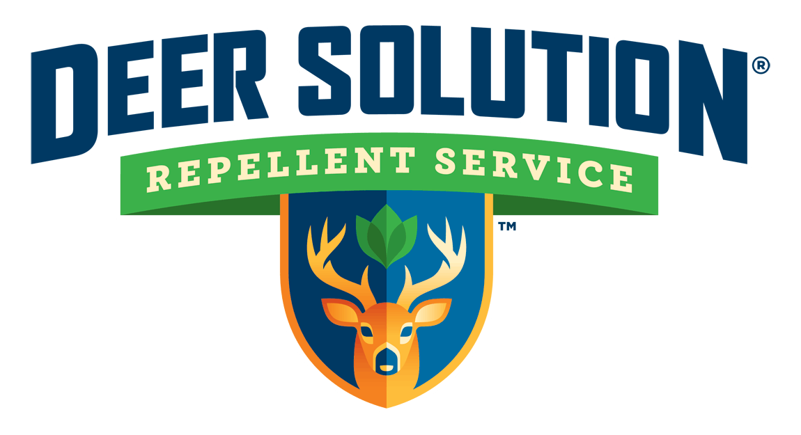 deer-solution-logo_color_outline_1100x575