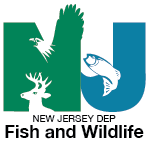 NJDEP Wildlife